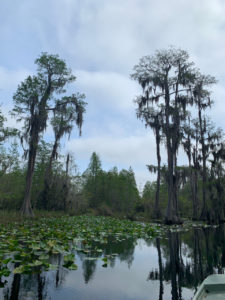 retro camper okefenokee swamp 61 of 116