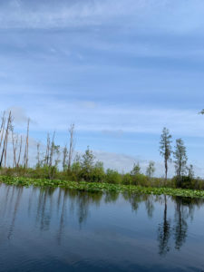 retro camper okefenokee swamp 77 of 116