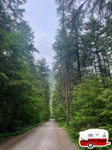 Dirt-Road-in-Glacier-National-Park