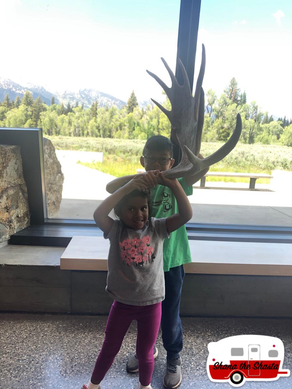 Elk-Antlers-at-Grand-Teton-Visitor-Center