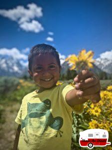 Grand-Teton-National-Yellow-Bloom