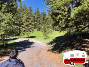 Grizzly-Bear-Sighting-in-Yellowstone