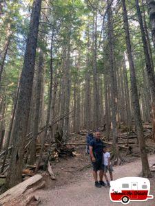 Hike-to-Avalanche-Creek