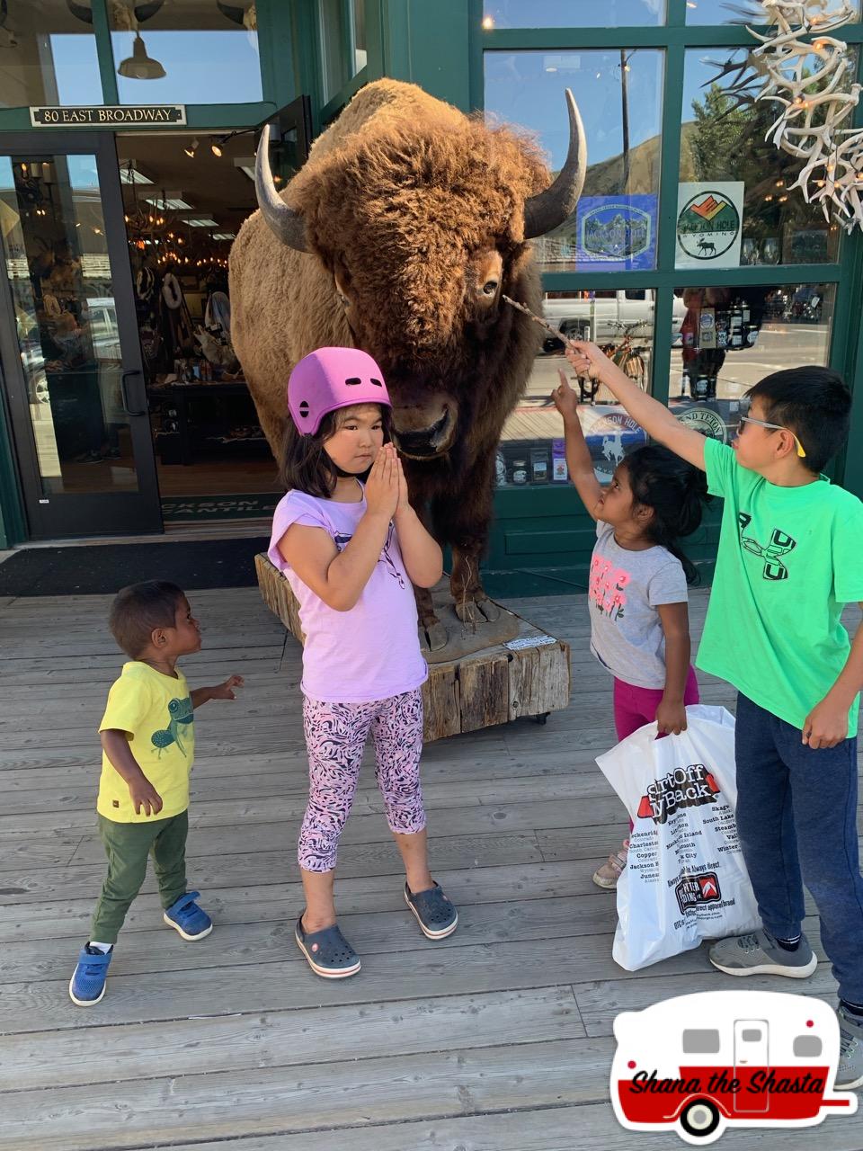 Jackson-Hole-Stuffed-Buffalo-Fun