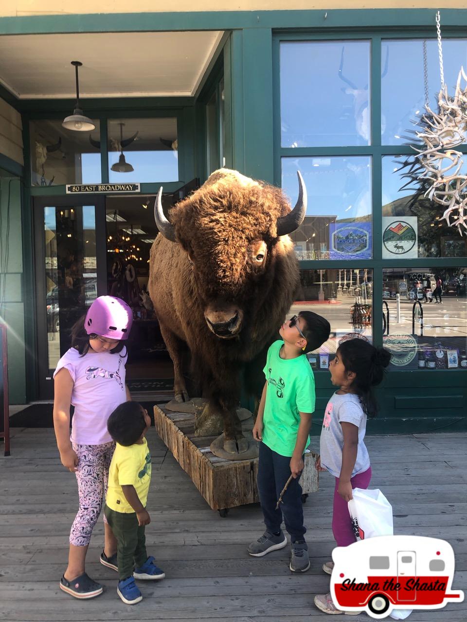 Jackson-Hole-Stuffed-Buffalo