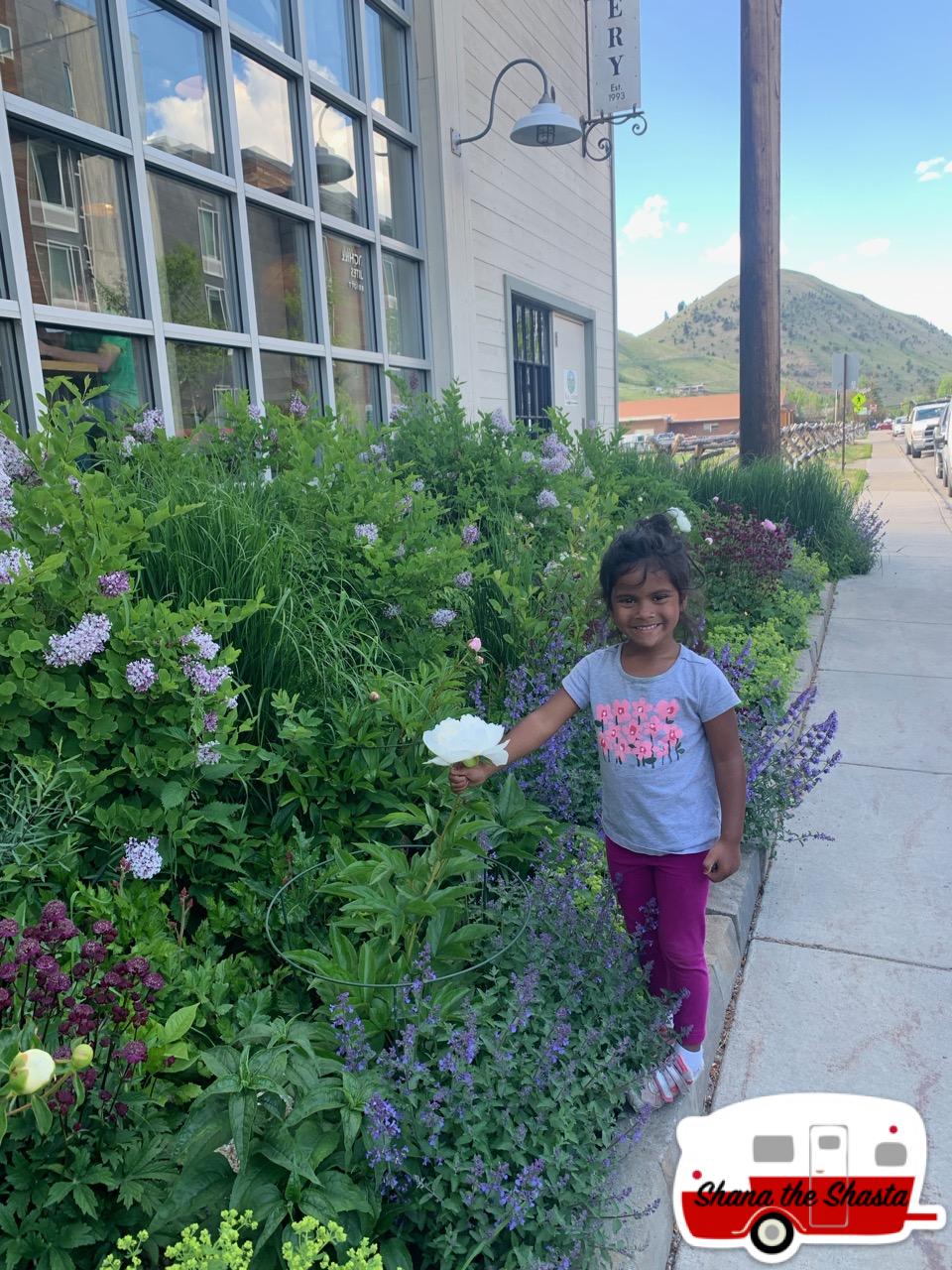 Jackson-Wyoming-Sidewalk-Blooms