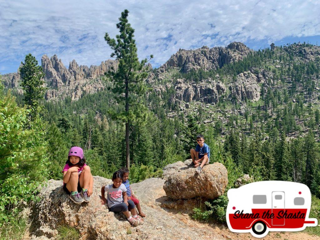 Overlooking-Needles-in-Custer