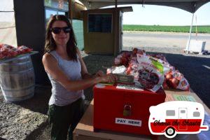 Roadside-Honor-System-Washington-Cherries