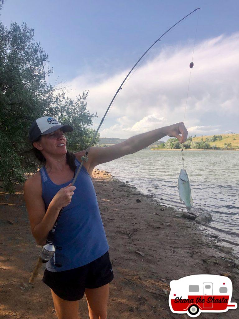 Second-Walleye-Catch-in-Angostura-Reservoir