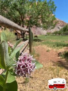 arches-to-zion-national-park-20