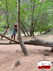 arches-to-zion-national-park-205