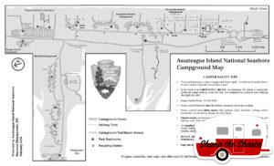 assateague-island-campground-map